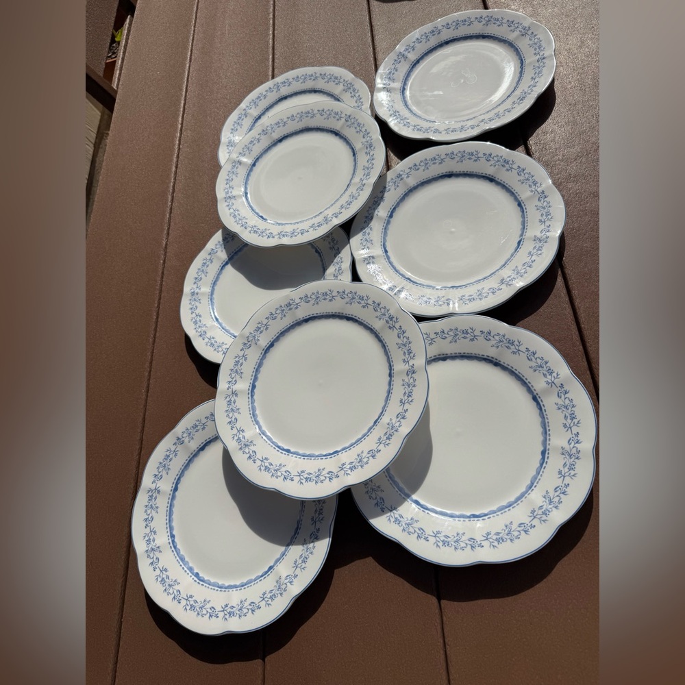 New set of 8 10 inch Grace Teaware Elegant Blue Bow Floral Dinner Plate Set